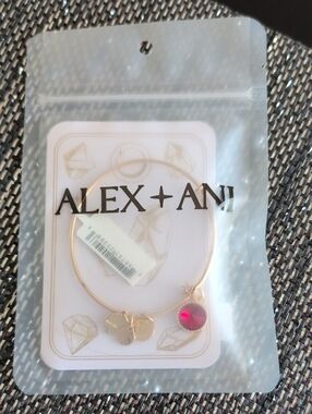 Alex and Ani Gold Tone Bracelet with January Birthstone  New W/Tags